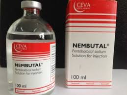 Koop Nembutal, koop Pentobarbital-natrium online.0
Nembutal behoort tot de klasse van barbituraten 